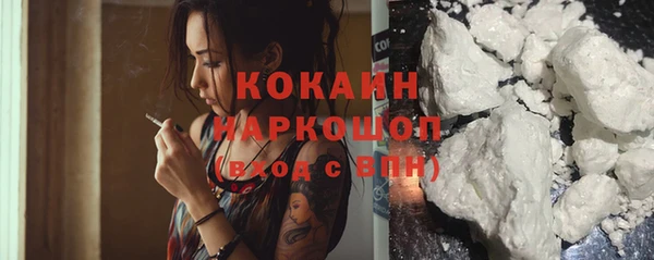 гашик Гусев