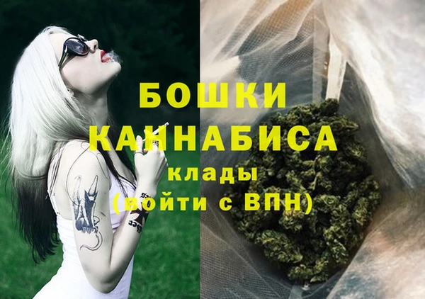 альфа пвп Гусиноозёрск