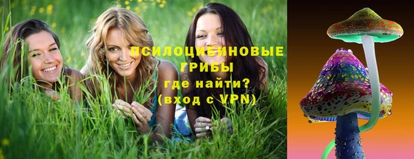 спиды Гусь-Хрустальный