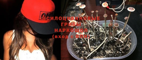 альфа пвп Гусиноозёрск