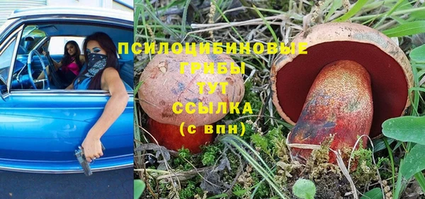гашик Гусев